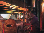 Schiavon. Jacopo Poli al lavoro nella distilleria di famiglia