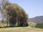 Martin from Sweeden - fall in the Asiago's plateau