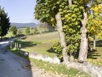 Martin from Sweeden - a path in Asiago's plateau