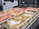 Eva from Sweeden - a market in Padua