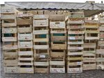 Eva from Sweeden - the market is at the end