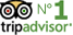 TripAdvisror n 1